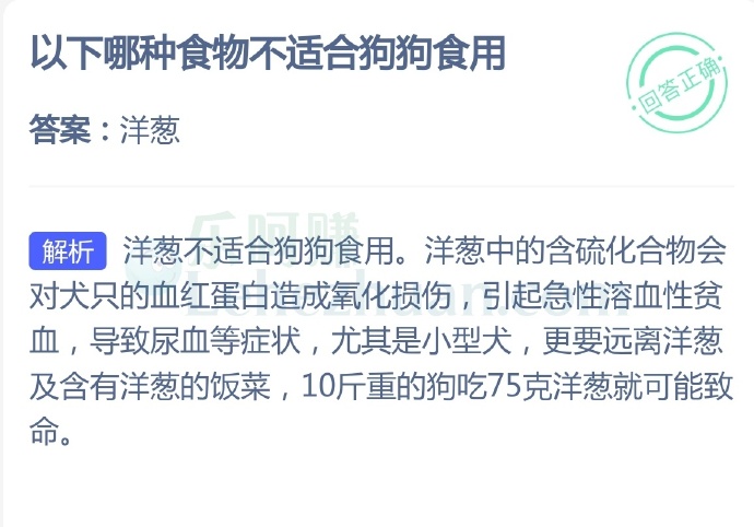 以下哪种食物不适合狗狗食用?