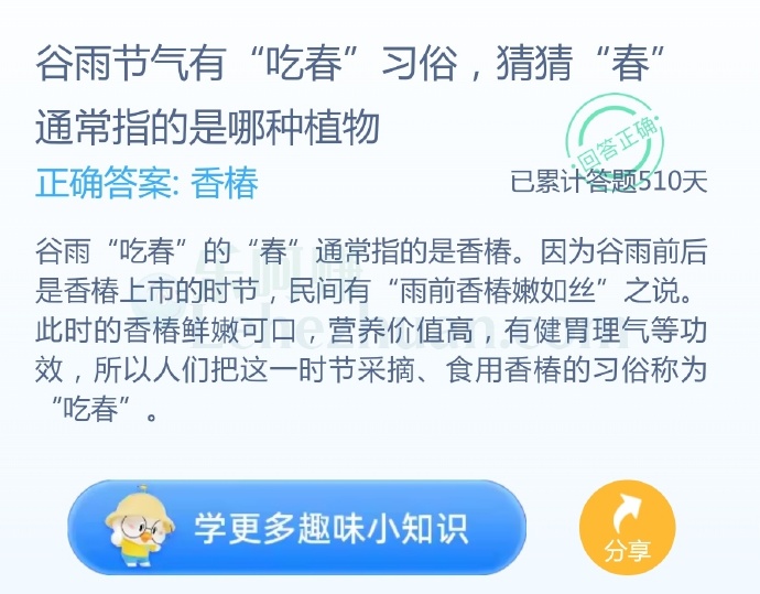 谷雨节气有“吃春”习俗,猜猜“春”通常指的是哪种植物?