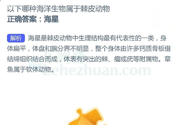 以下哪种海洋生物属于棘皮动物?