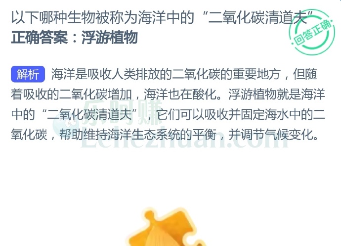 以下哪种生物被称为海洋中的“二氧化碳清道夫”?