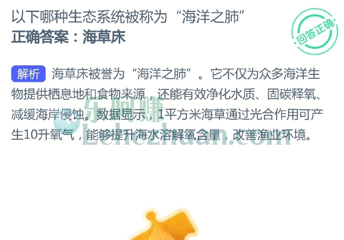 以下哪种生态系统被称为“海洋之肺”?