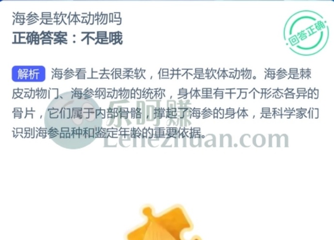 海参是软体动物吗?