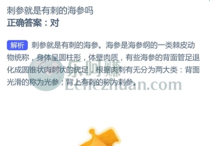 刺参就是有刺的海参吗?
