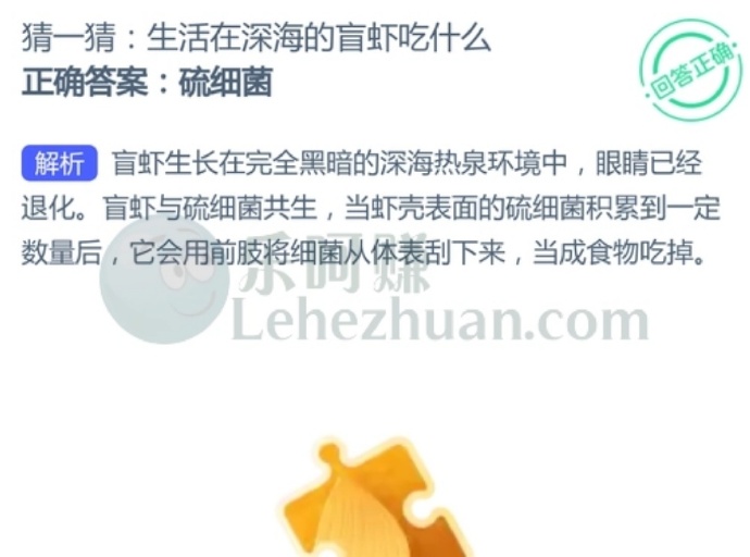 生活在深海的盲虾吃什么?