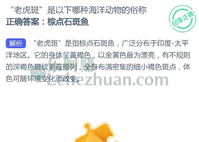 “老虎斑”是以下哪种海洋动物的俗称?