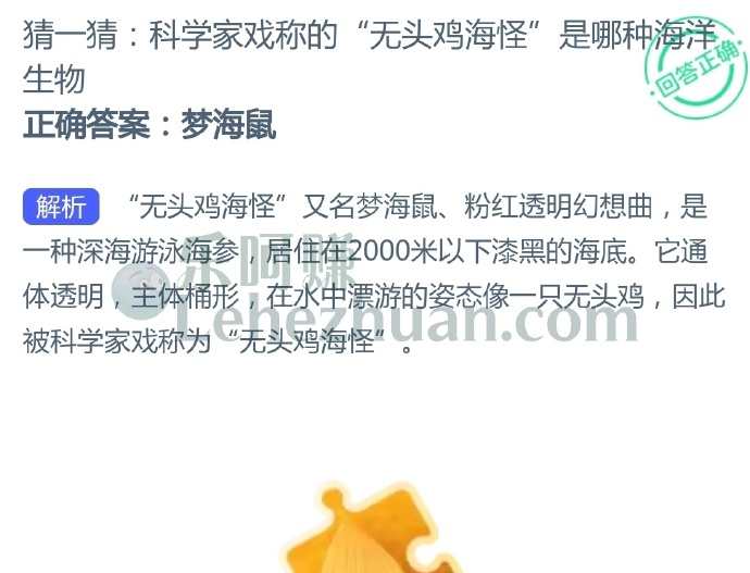 科学家戏称的“无头鸡海怪”是哪种海洋生物?