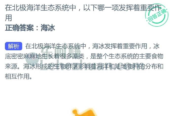 在北极海洋生态系统中,以下哪一项发挥着重要作用?