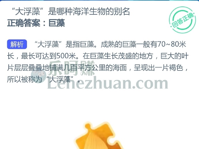 “大浮藻”是哪种海洋生物的别名?