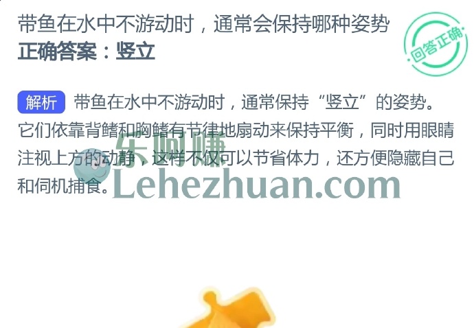 带鱼在水中不游动时,通常会保持哪种姿势?