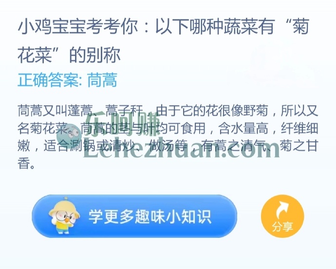 以下哪种蔬菜有“菊花菜”的别称?