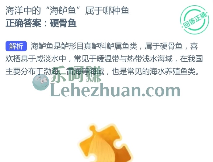 海洋中的“海鲈鱼”属于哪种鱼?