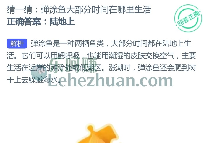 弹涂鱼大部分时间在哪里生活?