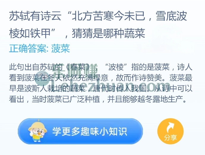 苏轼有诗云“北方苦寒今未已,雪底波棱如铁甲”,猜猜是哪种蔬菜?
