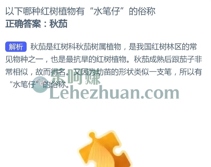 以下哪种红树植物有“水笔仔”的俗称?