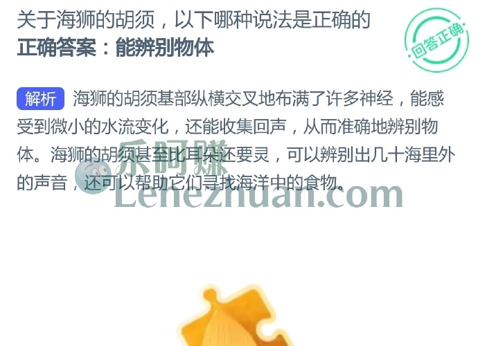 关于海狮的胡须,以下哪种说法是正确的?