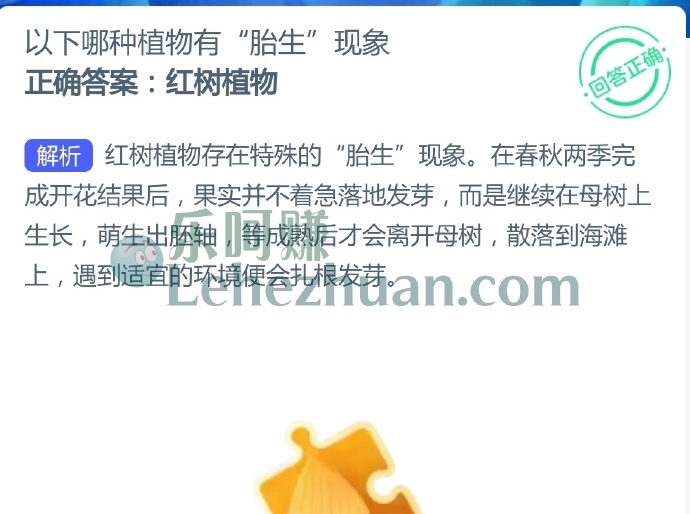 以下哪种植物有“胎生”现象?
