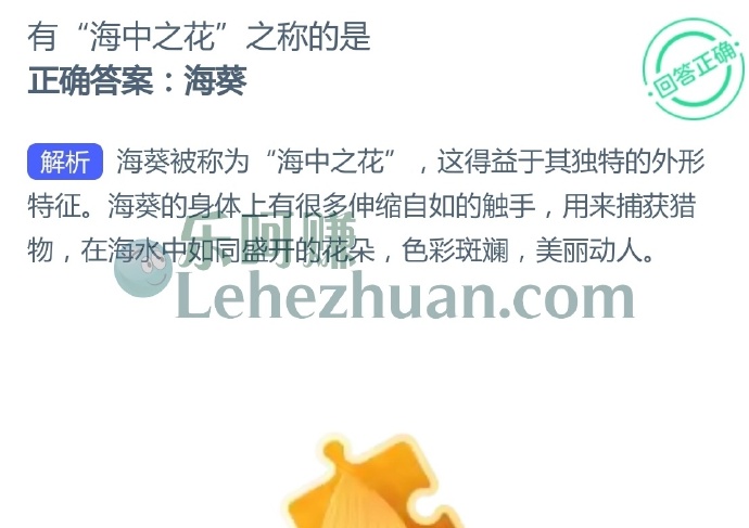 有“海中之花”之称的是?