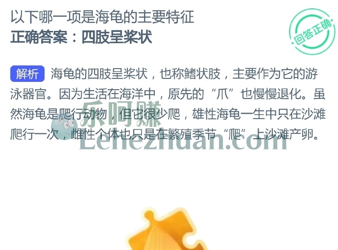 以下哪一项是海龟的主要特征?