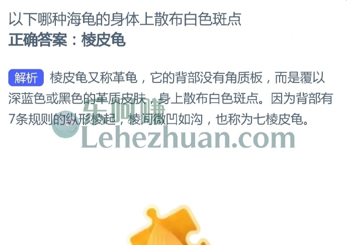 以下哪种海龟的身体上散布白色斑点?