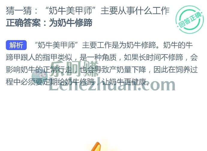 “奶牛美甲师”主要从事什么工作?