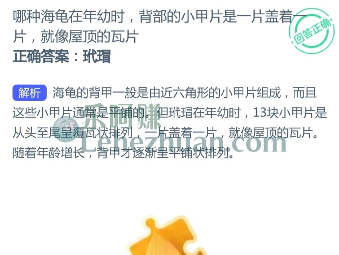 哪种海龟在年幼时,背部的小甲片是一片盖着片,就像屋顶的瓦片?