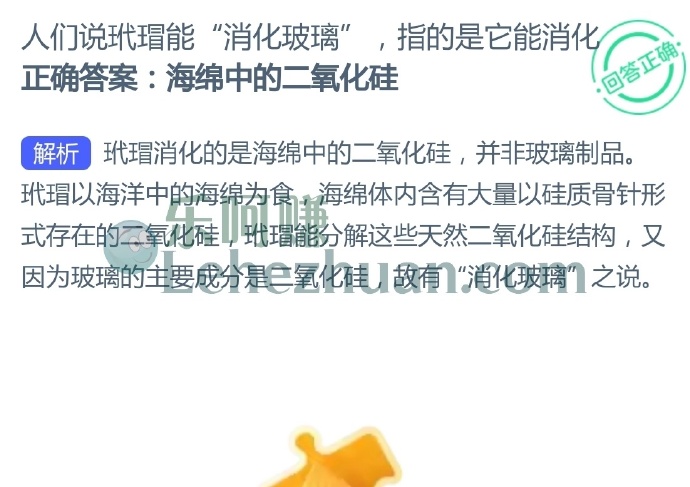 人们说玳瑁能“消化玻璃”,指的是它能消化?