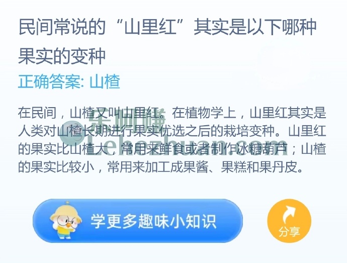 民间常说的“山里红”其实是以下哪种果实的变种?