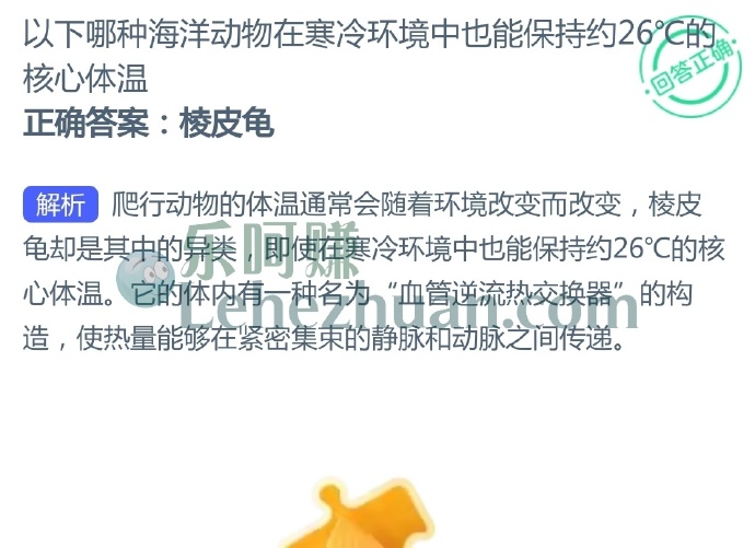以下哪种海洋动物在寒冷环境中也能保持约26℃的核心体温?