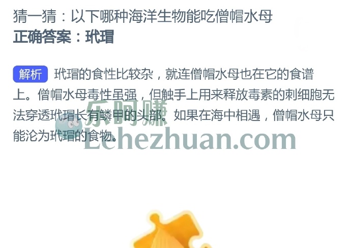 以下哪种海洋生物能吃僧帽水母?