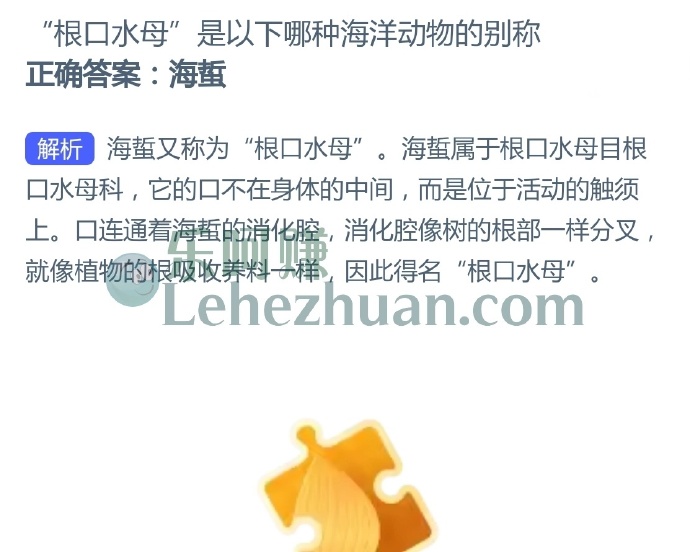 “根口水母”是以下哪种海洋动物的别称?