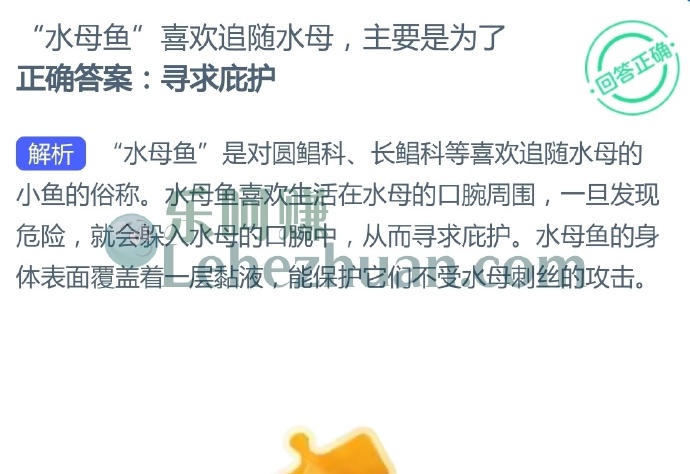 “水母鱼”喜欢追随水母,主要是为了?