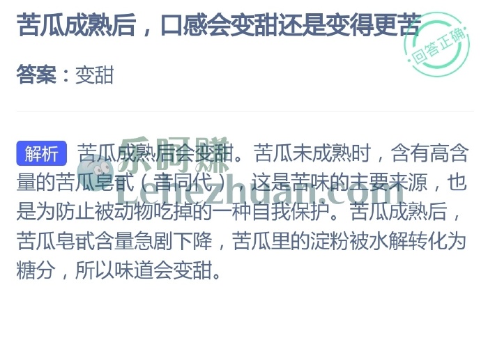 苦瓜成熟后,口感会变甜还是变得更苦?