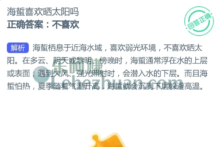 海蜇喜欢晒太阳吗?