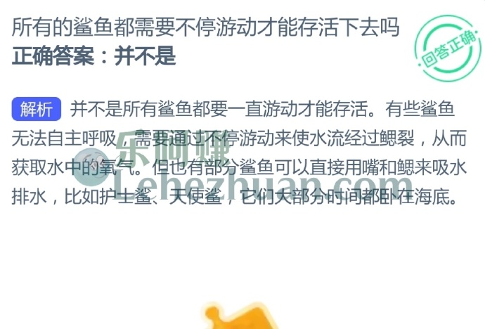 所有的鲨鱼都需要不停游动才能存活下去吗?