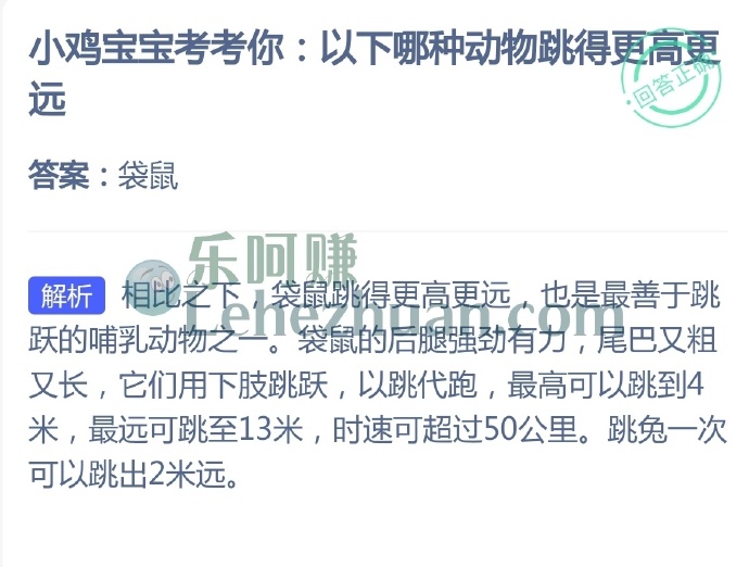 以下哪种动物跳得更高更远?