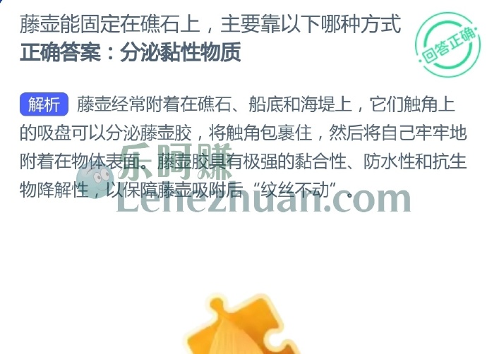 藤壶能固定在礁石上,主要靠以下哪种方式?