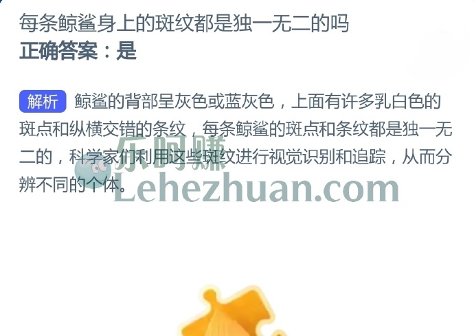 每条鲸鲨身上的斑纹都是独一无二的吗?