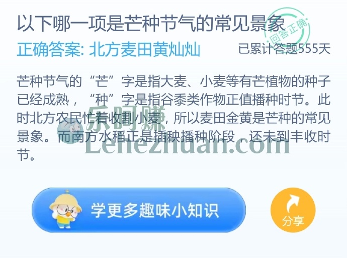以下哪一项是芒种节气的常见景象?