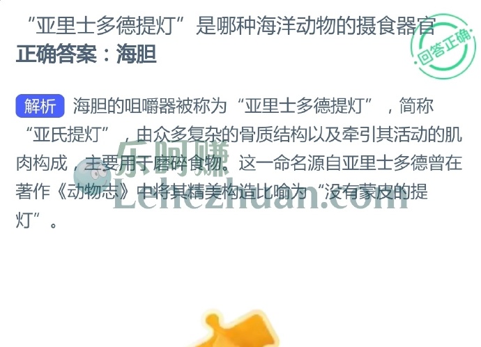 “亚里士多德提灯”是哪种海洋动物的摄食器官?