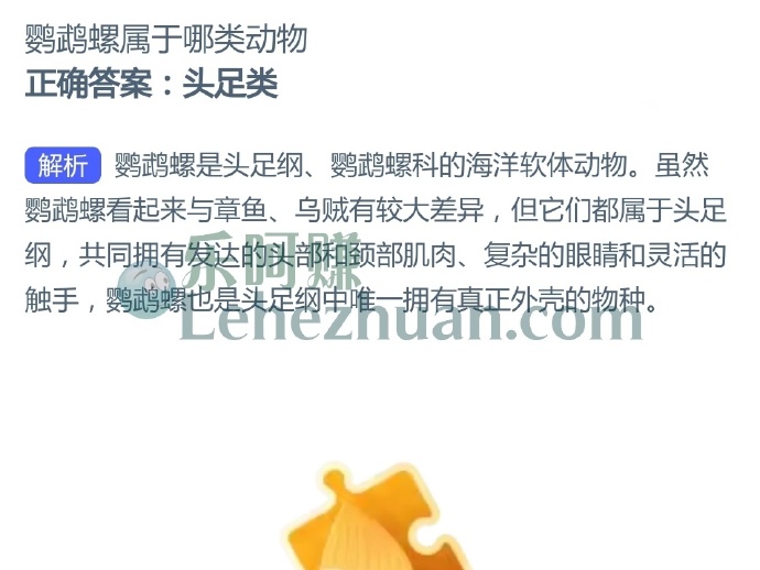 鹦鹉螺属于哪类动物?