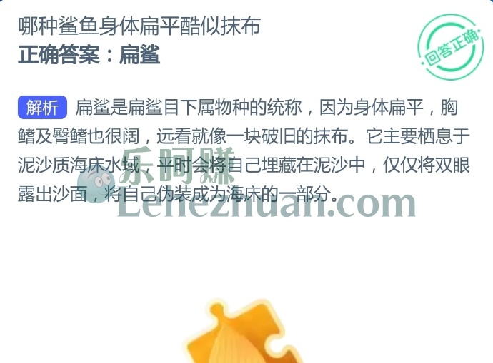 哪种鲨鱼身体扁平酷似抹布?