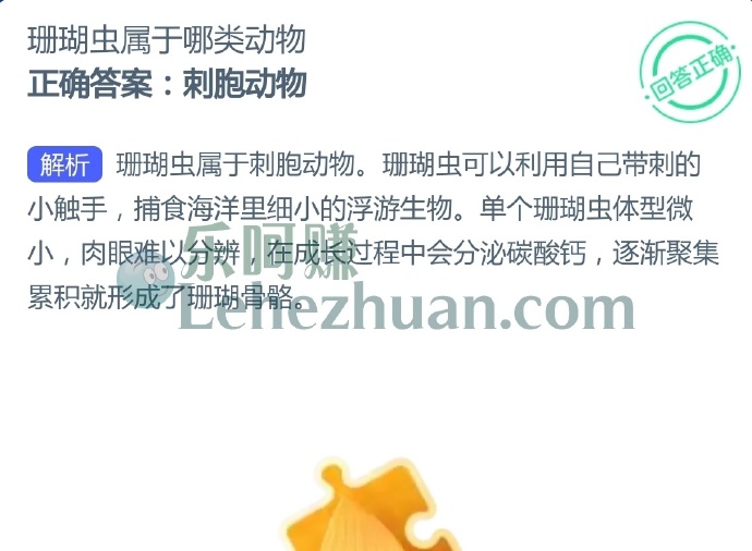 珊瑚虫属于哪类动物?