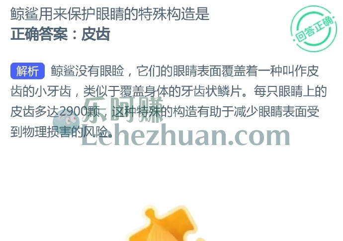 鲸鲨用来保护眼睛的特殊构造是?
