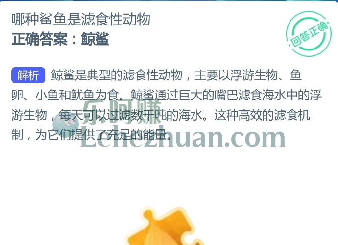 哪种鲨鱼是滤食性动物?