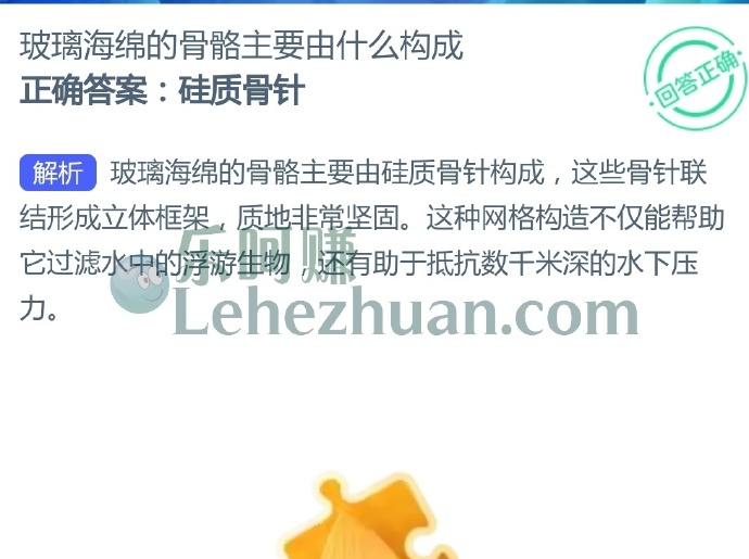 玻璃海绵的骨骼主要由什么构成?