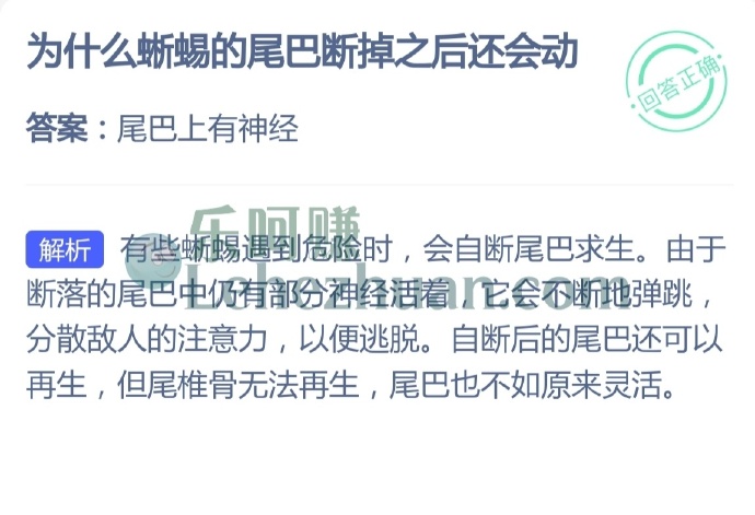 为什么蜥蜴的尾巴断掉之后还会动?