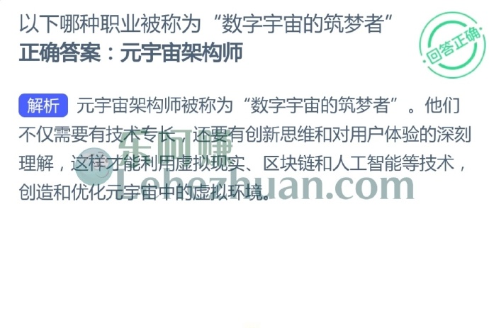 以下哪种职业被称为“数字宇宙的筑梦者”?
