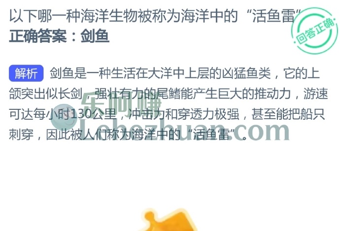 以下哪一种海洋生物被称为海洋中的“活鱼雷”?