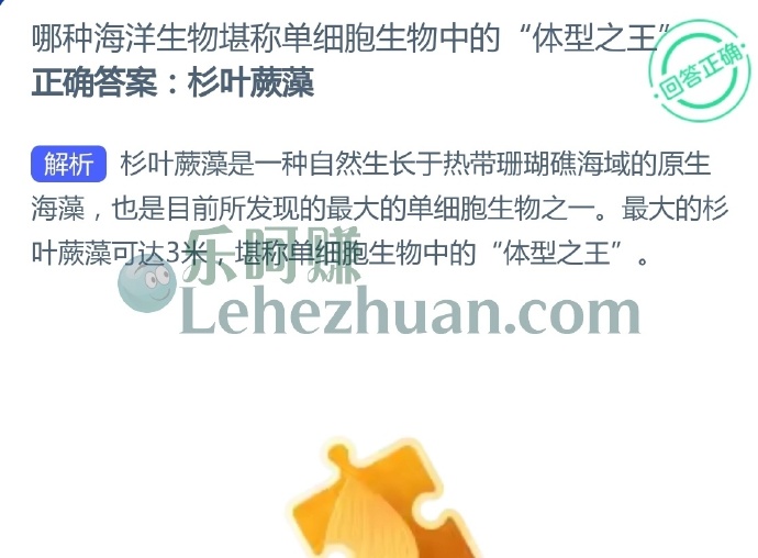 哪种海洋生物堪称单细胞生物中的“体型之王”?