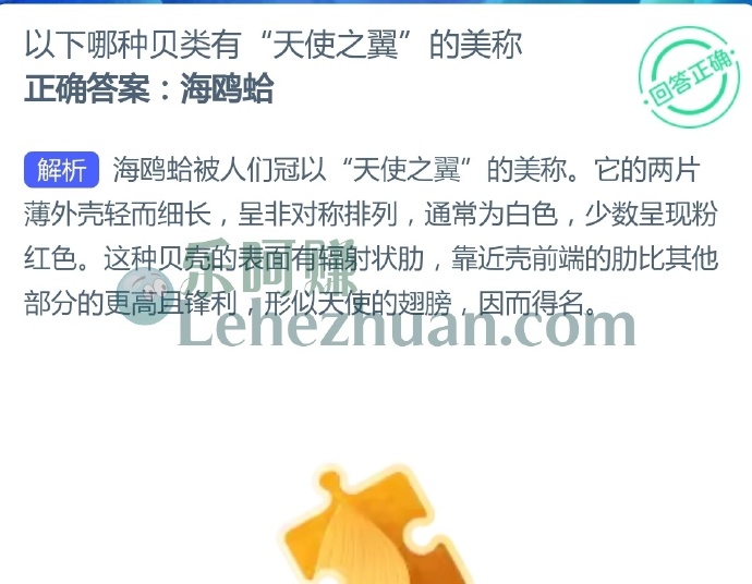以下哪种贝类有“天使之翼”的美称?